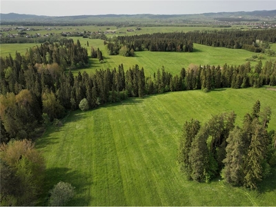 Działka Sprzedaż Maruszyna, Polska