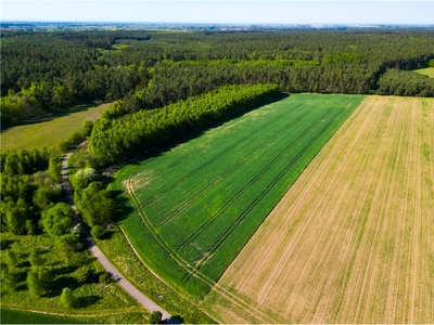 Nieruchomość gruntowa Sprzedaż Charzyno, Polska