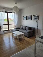 Nowe miasto / Apartament na wynajem