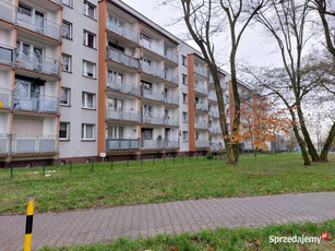 3 pokoje / TOP Lokalizacja / Balkon / Miechowice