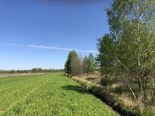 Działka 1,3 ha Zabraniec Okuniew Wołomin