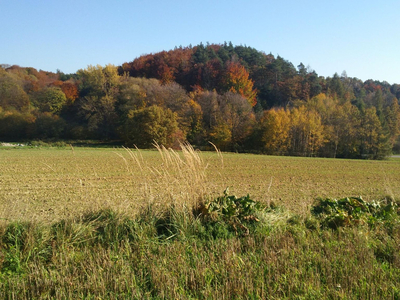 Krakowski, Skała, Cianowice