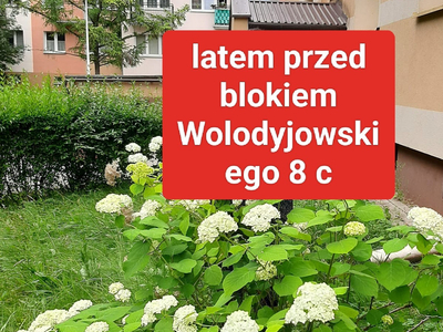 podlaskie, Białystok, Piaski, Wołodyjowskiego