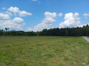 Działka budowlana 1450 m2 Borowe gmina Warka blisko las , bezpośrednio