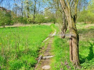 Działka budowlana Ciechów gm. Środa Śląska