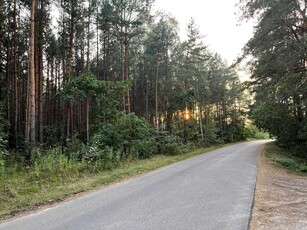 Działka leśna przy Aleksandrowie Kujawskim - zjazd Odolion A1!