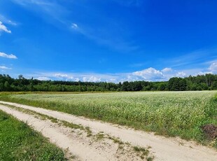 Działka rolna 49ar- Uściąż koło Kazimierza Dolnego