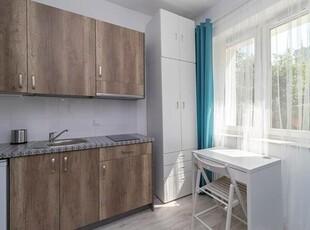 Narutowicza 56 C, studio w centrum, pet-friendly