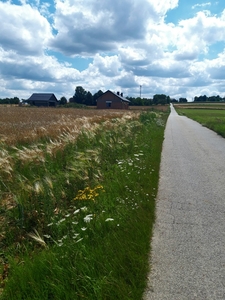 Działka budowlana 12 ar, Czaple Wielkie, gmina Gołcza, małopolskie