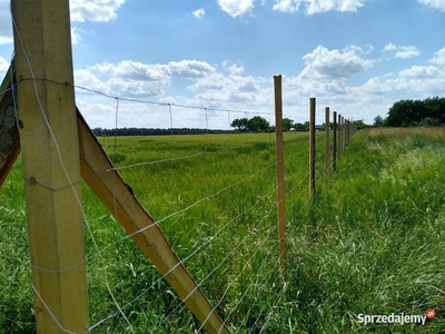 Działka pod Chojnowem na sprzedaż