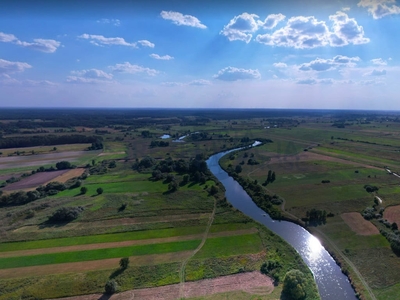 Działka rolna Białobrzegi-Kolonia