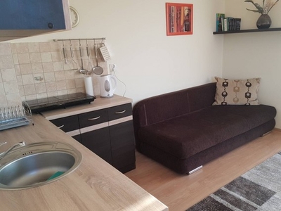 Apartament u Gosi