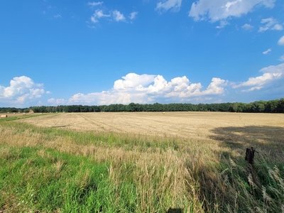 Działka budowlana Grzebienisko, ul. Miodowa