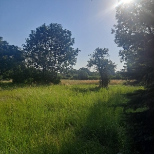 Działka budowlana Ozorowice, ul. za Ogrodami