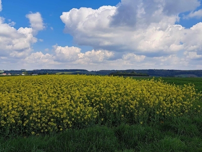 Działka budowlana Przybysławice