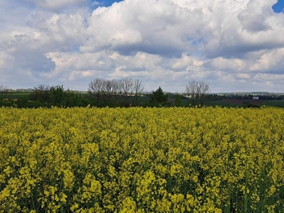 Działka budowlana Przybysławice