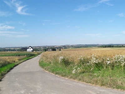 Działka budowlana Sieciechowice