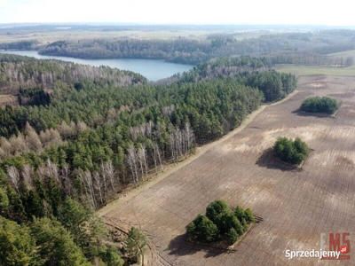 Działka Nowe Krzywe 3000m2