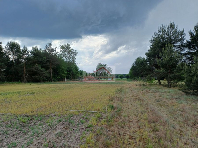 Kozienicki, Grabów Nad Pilicą, Lipinki