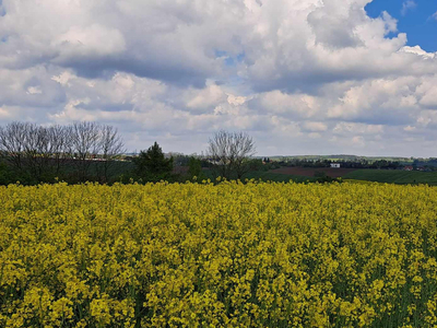 Krakowski, Skała, Przybysławice