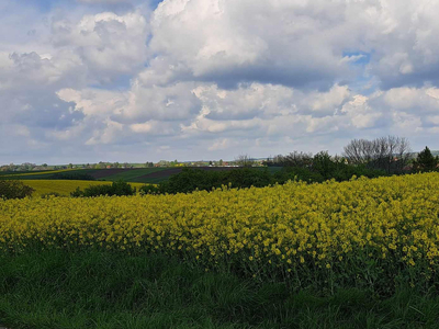 Krakowski, Skała, Przybysławice