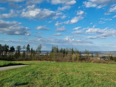 Strzyżowski, Czudec, Babica