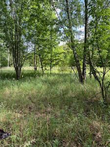 Warszawski Zachodni (Pow.), Kampinos (Gm.), Podkampinos