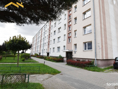 Kawalerka 29,56 m², II piętro, Elbląg