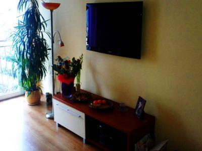 Apartament Miłek