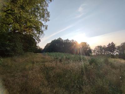 Chełstówek Twardogóra Oleśnicki Dolnośląskie Biuro Nieruchomości