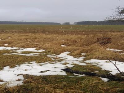 Duża działka budowlana w Grzedzicach