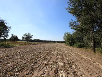 Działka na sprzedaż, łaski, Anielin