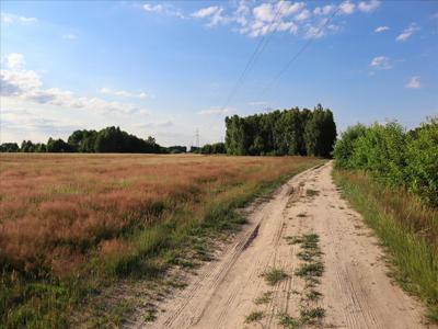 Działka na sprzedaż, Bełchatowski, Drużbice, Rożniatowice