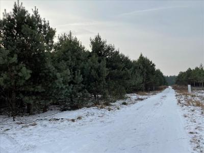 Działka na sprzedaż, Legionowski, Olszewnica Stara