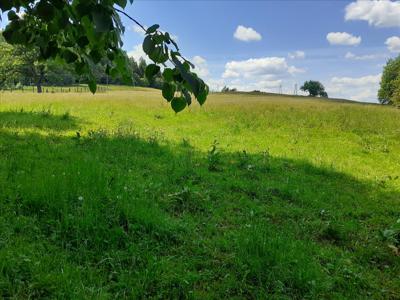 Działka na sprzedaż, Leski, Berezka