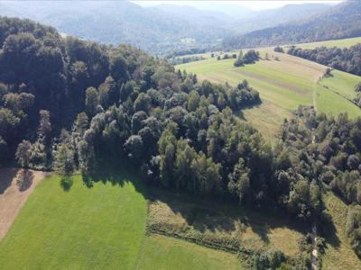 Działka na sprzedaż, Leski, Solina gm, Bukowiec