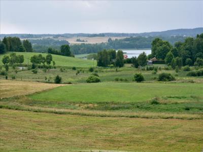 Działka na sprzedaż, Lidzbarski, Suryty