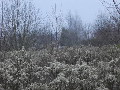 Działka na sprzedaż, Nowodworski, Pieńków