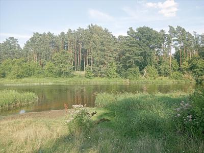 Działka na sprzedaż, Nowodworski, Szczypiorno