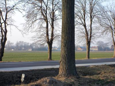 Działka na sprzedaż, Obornicki, Oborniki gm, Bogdanowo