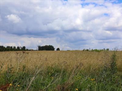 Działka na sprzedaż, Łódź, Widzew