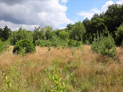 Działka na sprzedaż, łódzki Wschodni, Teolin