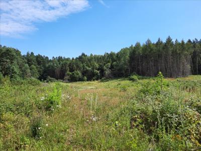 Działka na sprzedaż, Olsztyński, Gryźliny