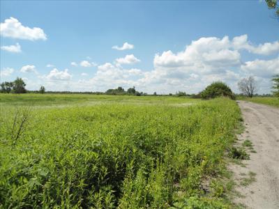 Działka na sprzedaż, Otwocki, Karczew gm, Karczew