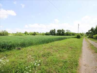 Działka na sprzedaż, Pabianicki, Lutomiersk gm, Zdziechów