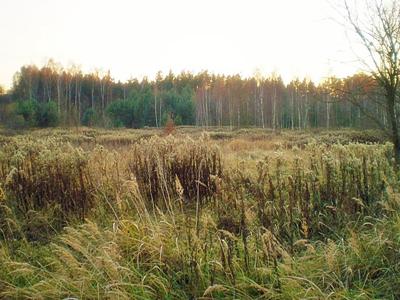 Działka na sprzedaż, Piaseczyński, Kąty