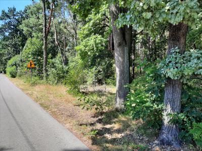 Działka na sprzedaż, Radomski, Bartodzieje