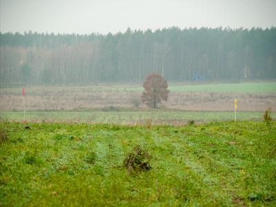 Działka na sprzedaż, Stargardzki, Grzędzice