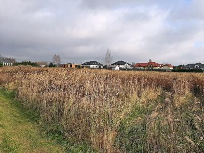 Działka na sprzedaż, Warszawski Zachodni, Borzęcin Duży