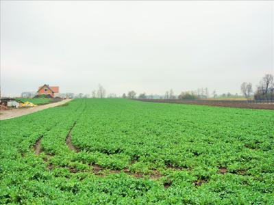 Działka na sprzedaż, Wrocławski, Kobierzyce gm, Kobierzyce